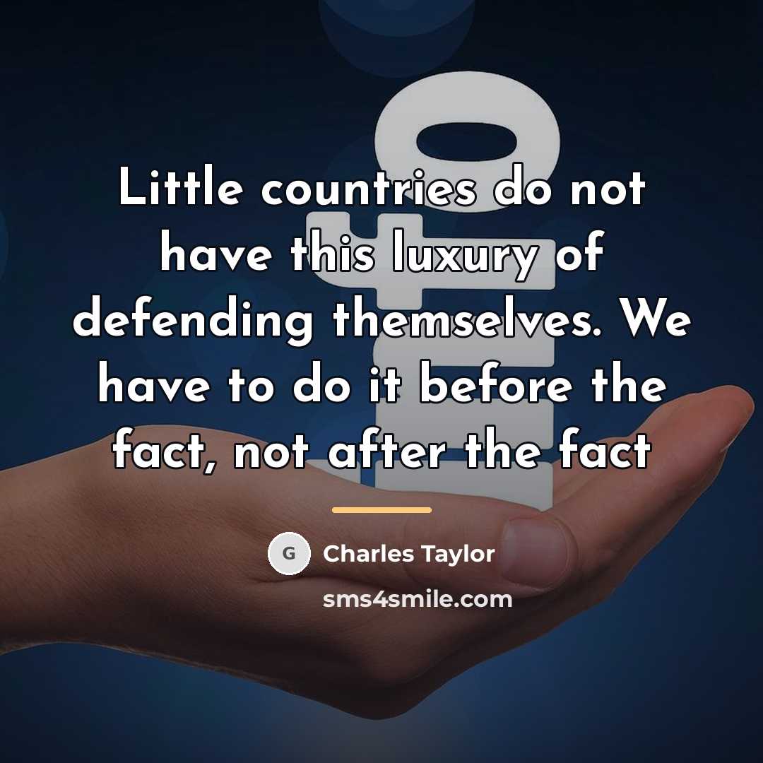 “Little countries do not have this luxury of defending themselves.…” quote by Charles Taylor