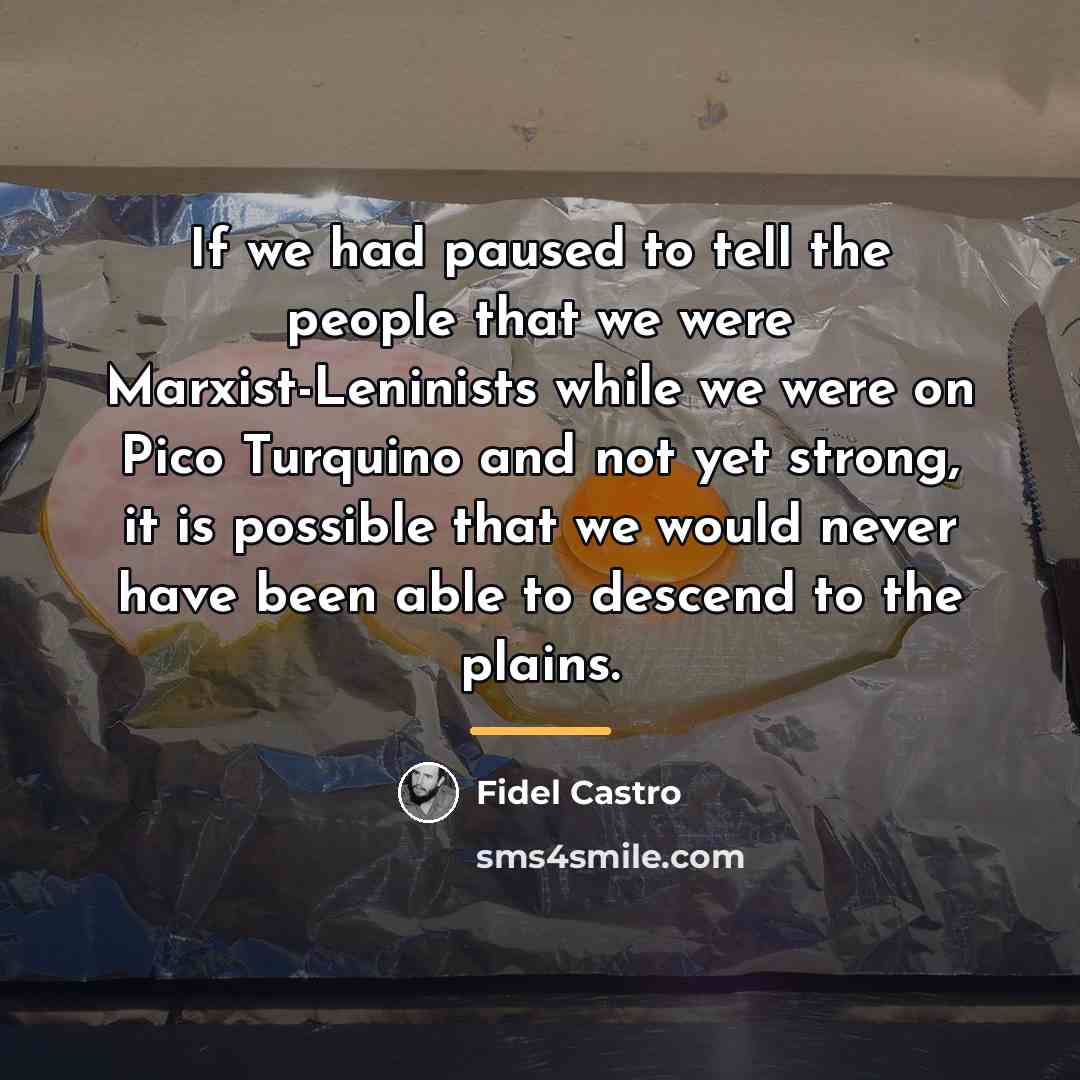 “If we had paused to tell the people that we…” quote by Fidel Castro