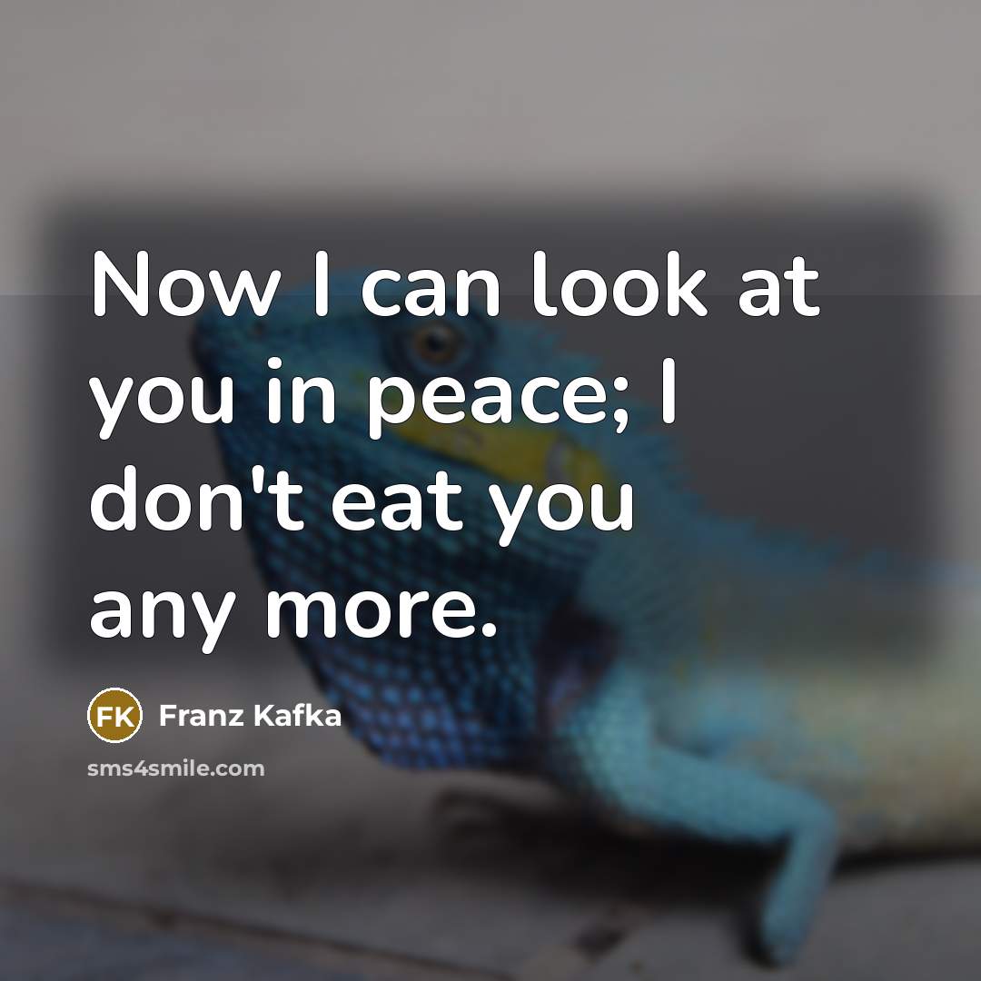 “Now I can look at you in peace; I don't…” quote by Franz Kafka