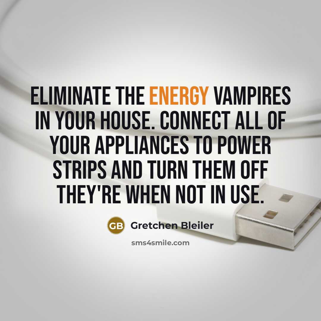 “Eliminate the energy vampires in your house. Connect all of…” quote by Gretchen Bleiler