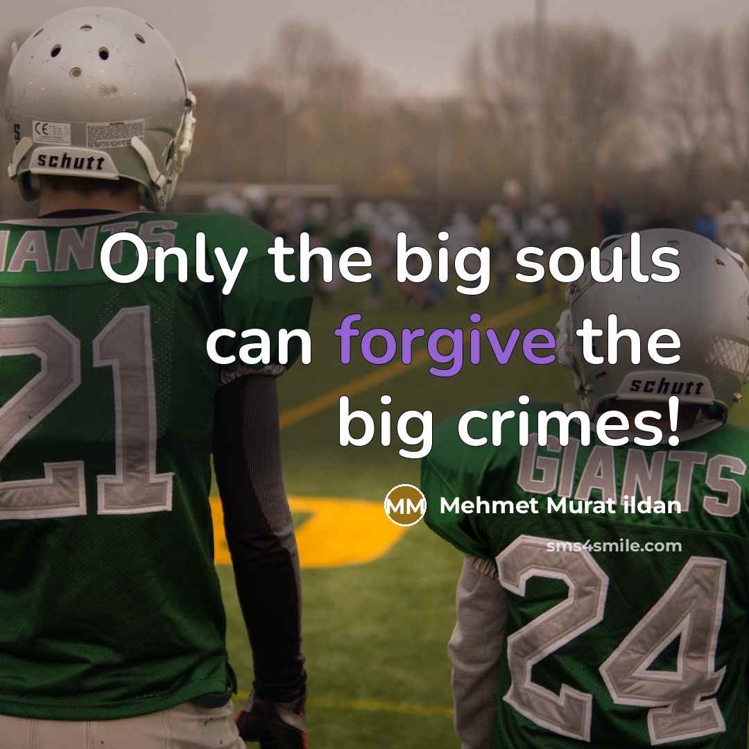 “Only the big souls can forgive the big crimes!…” quote by Mehmet Murat Ildan