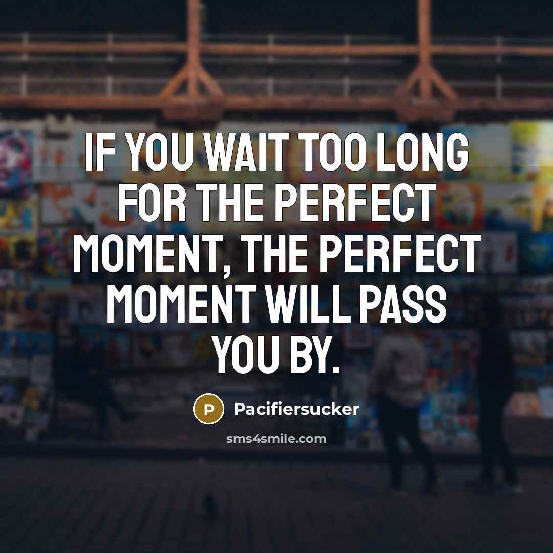 “If you wait too long for the perfect moment, the…” quote by Pacifiersucker