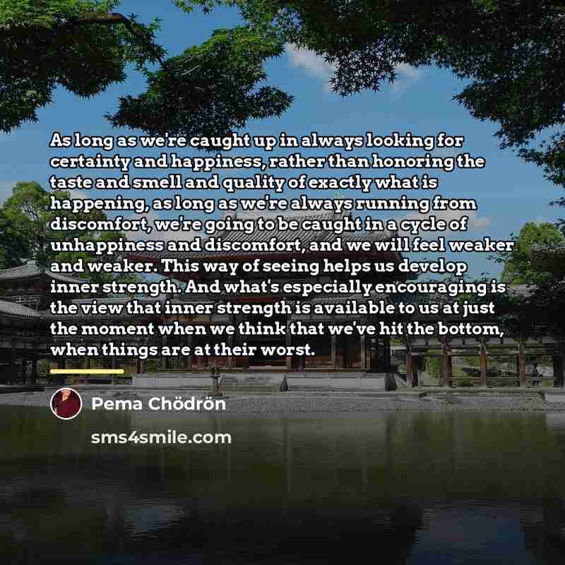 “As long as we're caught up in always looking for…” quote by Pema Chodron