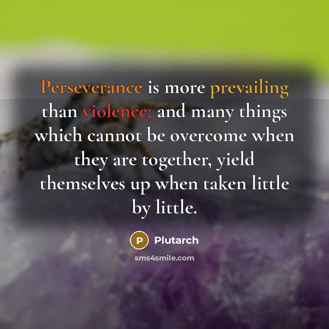 “Perseverance is more prevailing than violence; and many things which cannot be overcome when they are together, yield themselves up when taken little by little.” quote by Plutarch