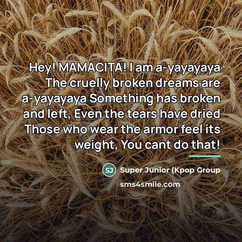 “Hey! MAMACITA! I am a-yayayaya The cruelly broken dreams are…” quote by Super Junior (Kpop Group