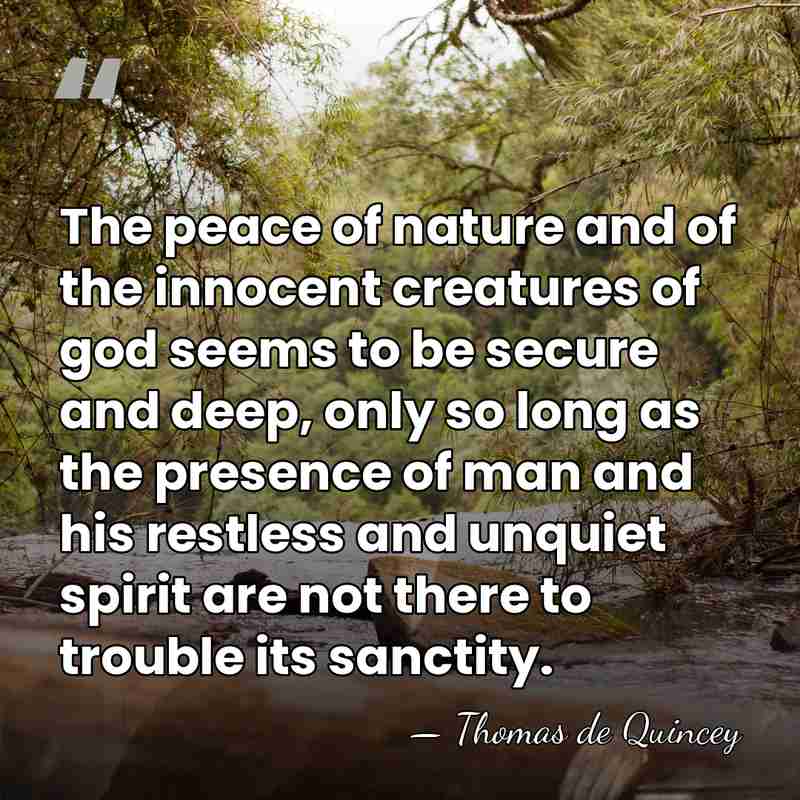 The peace of nature and of the innocent creatures of god seems&hellip; - Thomas de Quincey