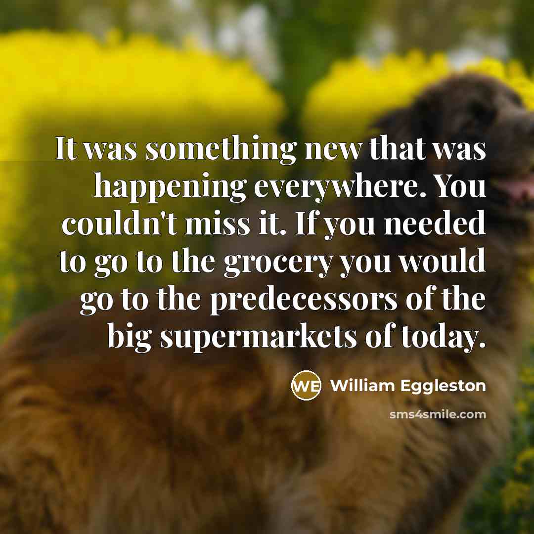“It was something new that was happening everywhere. You couldn't…” quote by William Eggleston