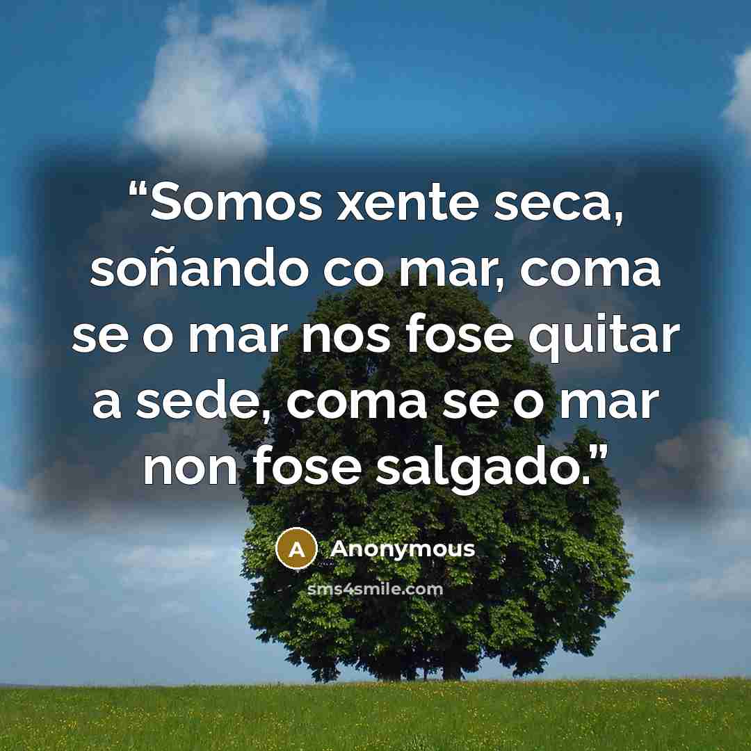 “Somos xente seca, soñando co mar, coma se o mar nos fose quitar a sede, coma se o mar non fose salgado.” quote by Anonymous