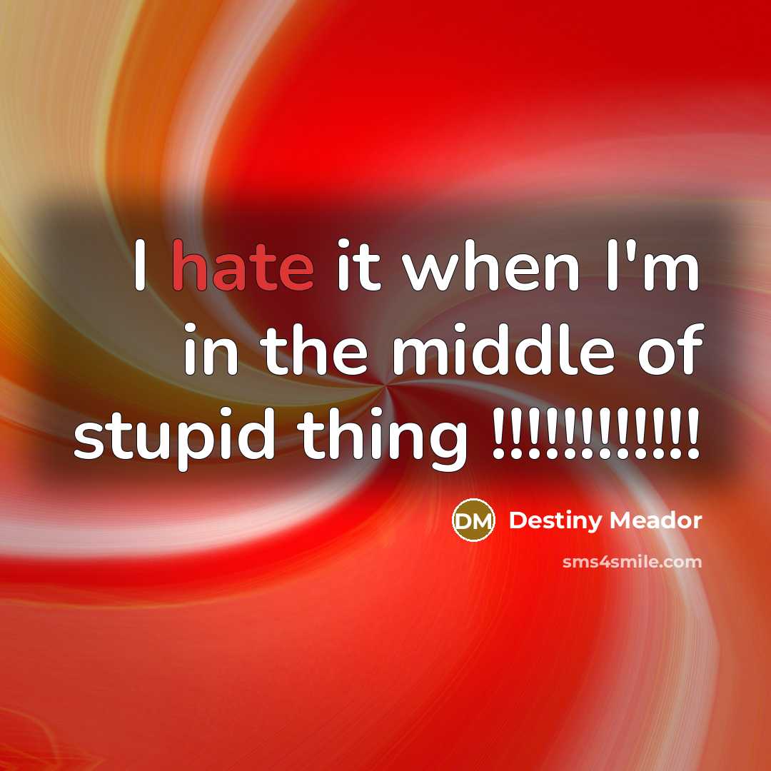 “I hate it when I'm in the middle of stupid…” quote by Destiny Meador