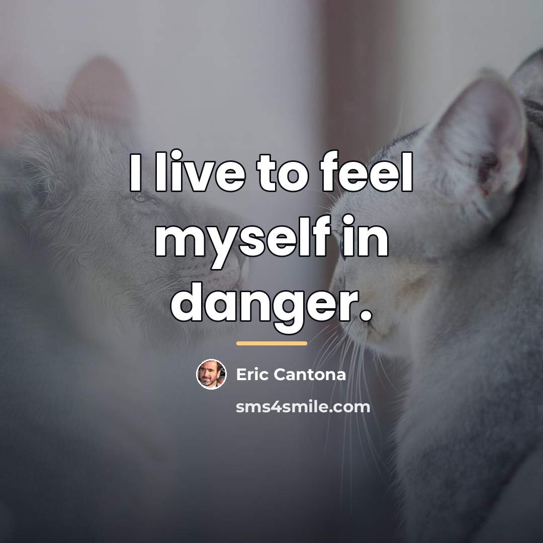 “I live to feel myself in danger.…” quote by Eric Cantona