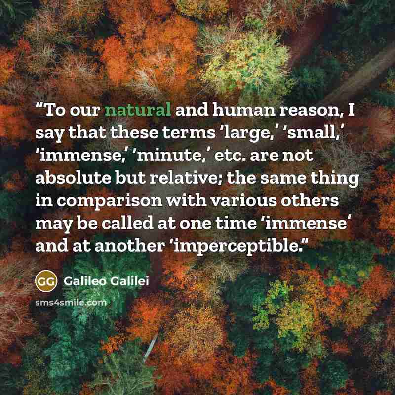 “To our natural and human reason, I say that these terms ‘large,’ ‘small,’ ‘immense,’ ‘minute,’ etc. are not absolute but relative; the same thing in comparison with various others may be called at one time ‘immense’ and at another ‘imperceptible.” quote by Galileo Galilei