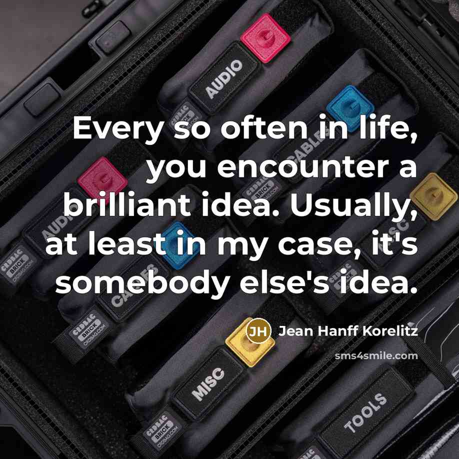 “Every so often in life, you encounter a brilliant idea.…” quote by Jean Hanff Korelitz
