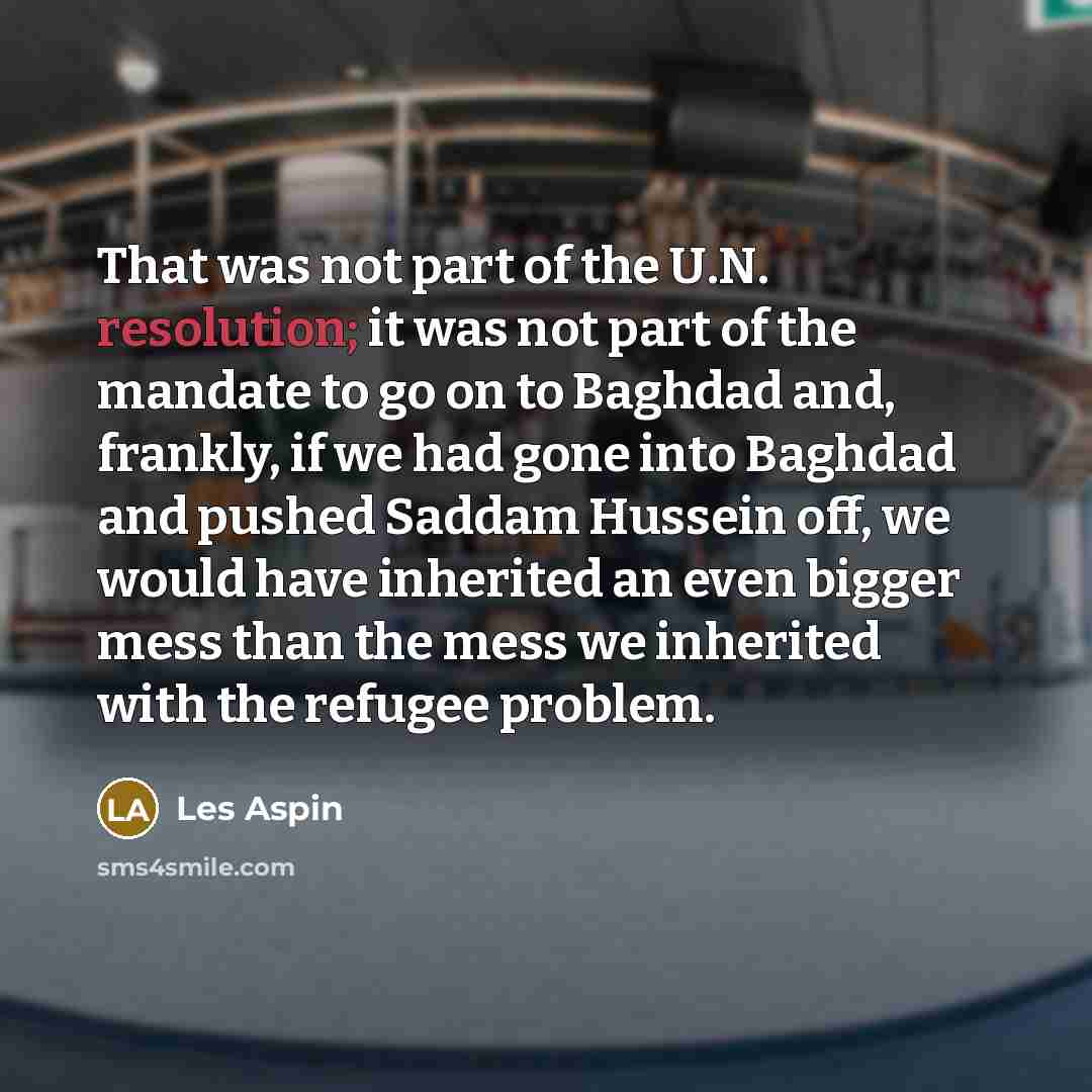 “That was not part of the U.N. resolution; it was…” quote by Les Aspin