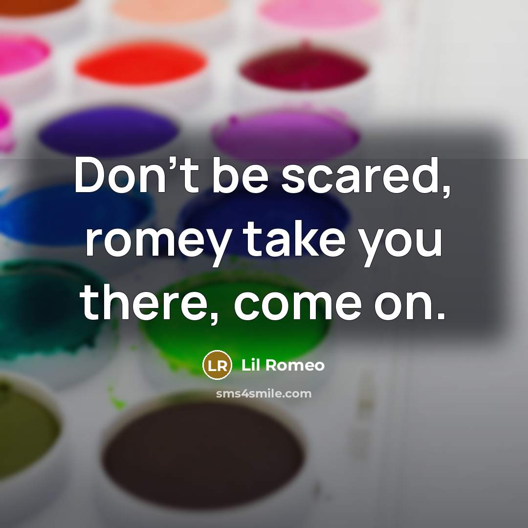 “Don't be scared, romey take you there, come on.” quote by Lil Romeo