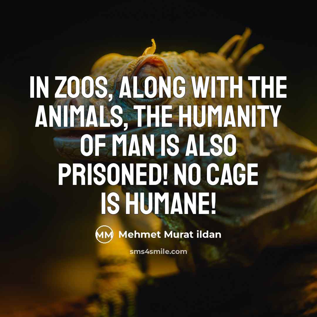 “In zoos, along with the animals, the humanity of man…” quote by Mehmet Murat Ildan