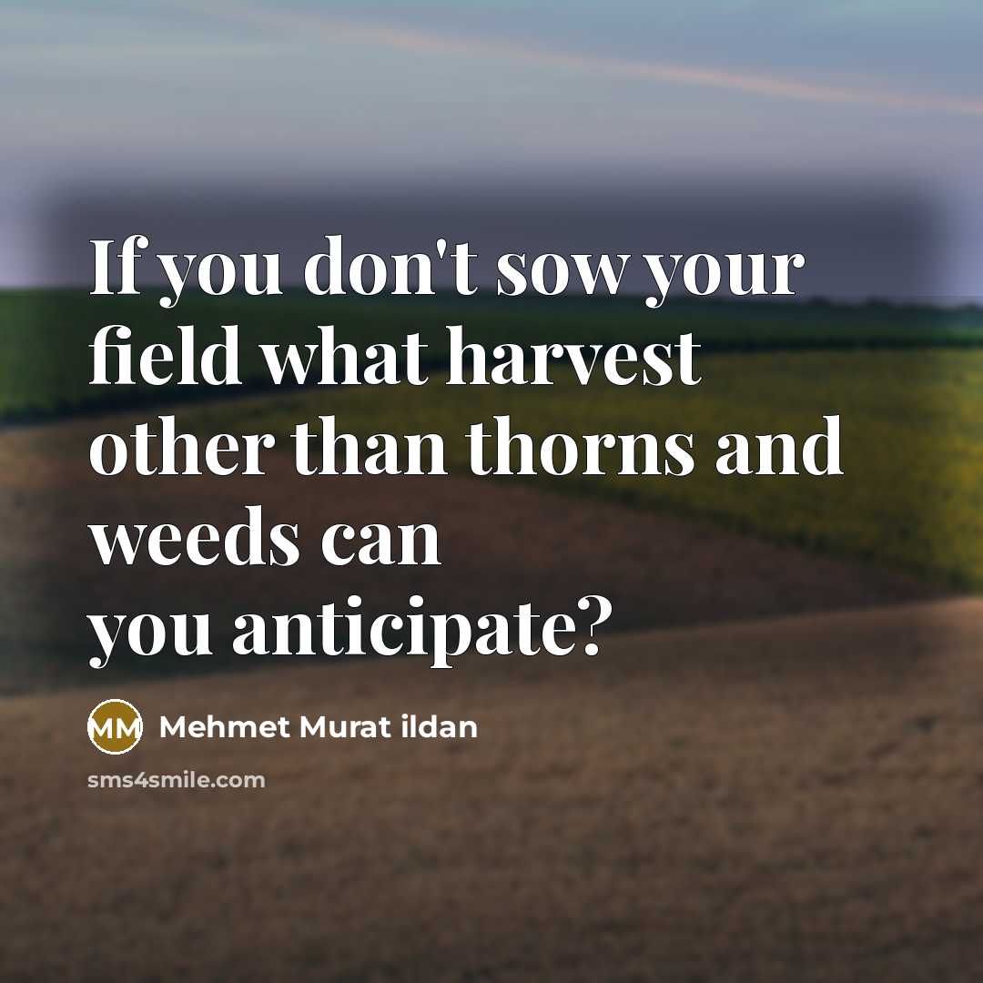 “If you don't sow your field what harvest other than…” quote by Mehmet Murat Ildan