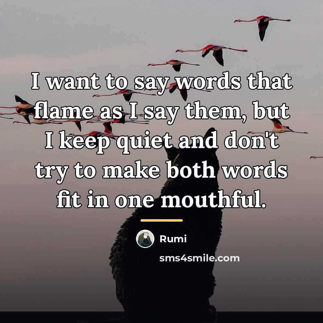 “I want to say words that flame as I say…” quote by Rumi