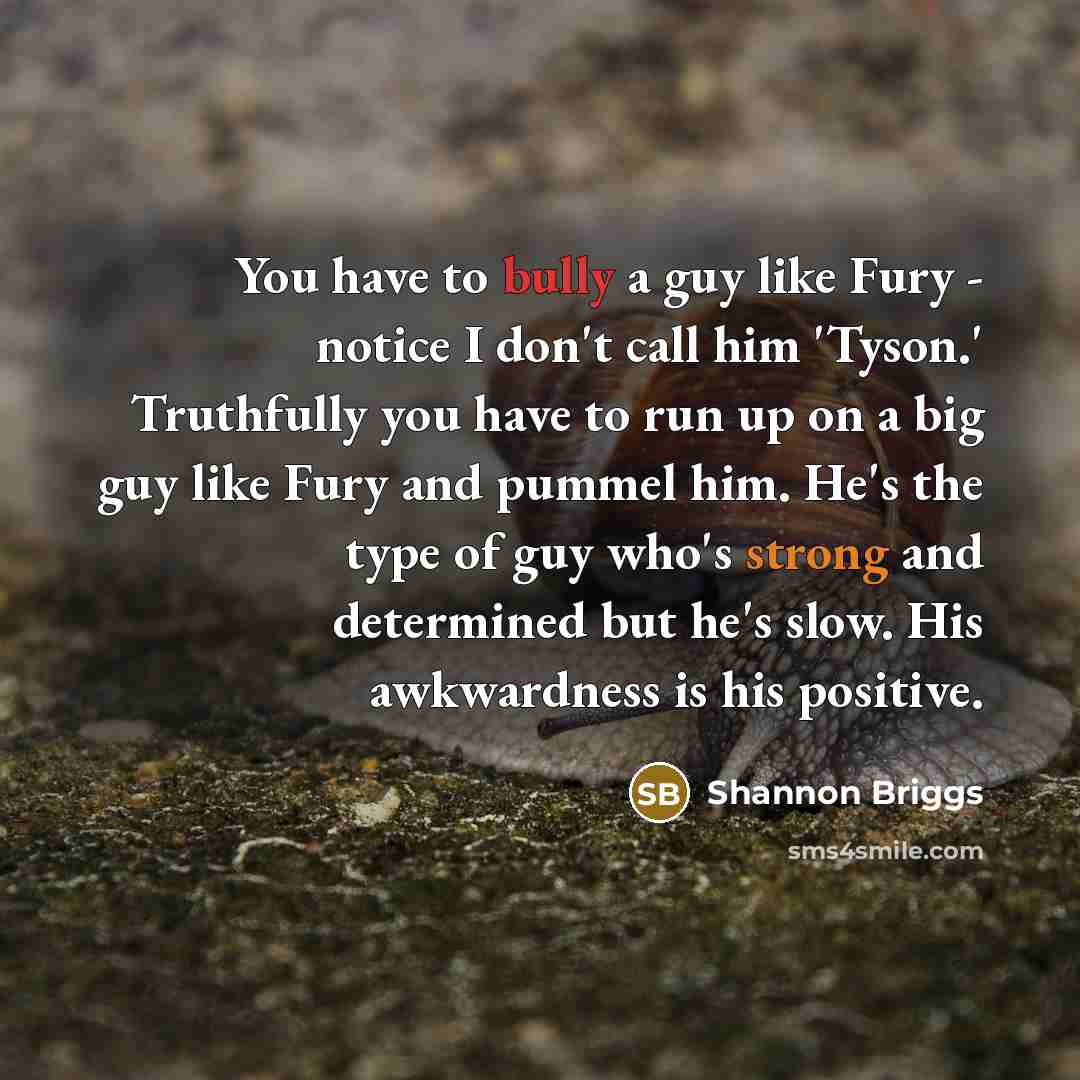 “You have to bully a guy like Fury - notice…” quote by Shannon Briggs
