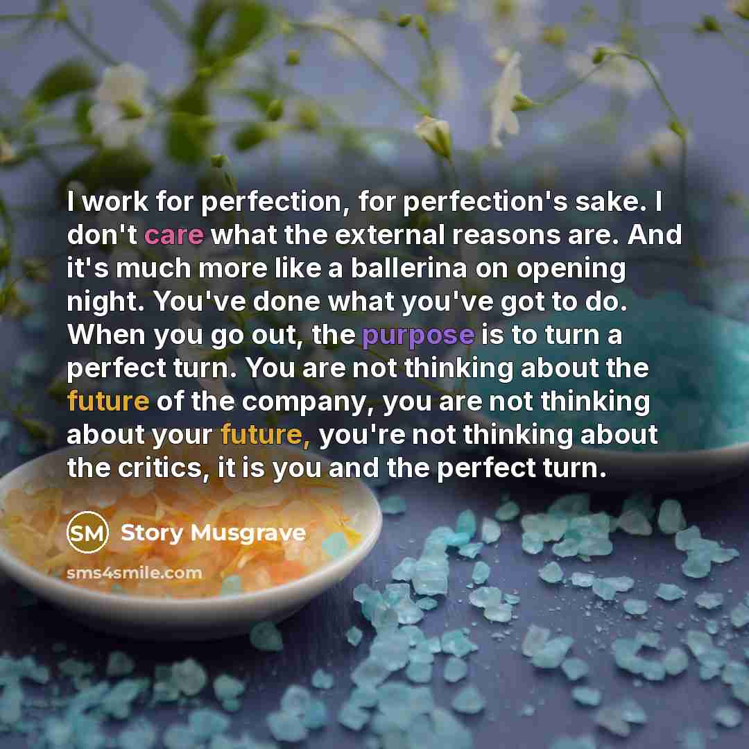 “I work for perfection, for perfection's sake. I don't care…” quote by Story Musgrave