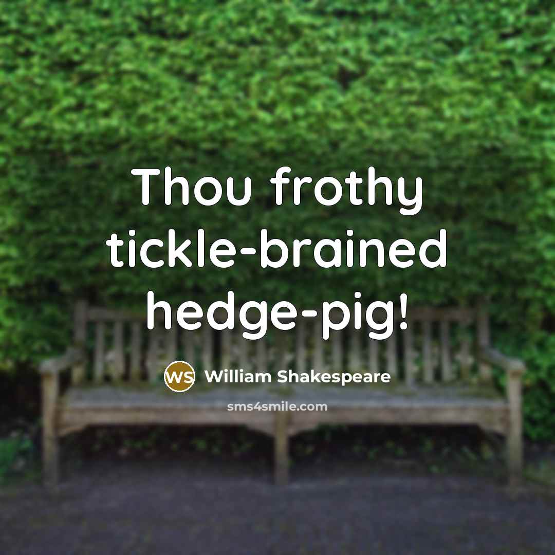 “Thou frothy tickle-brained hedge-pig!…” quote by William Shakespeare