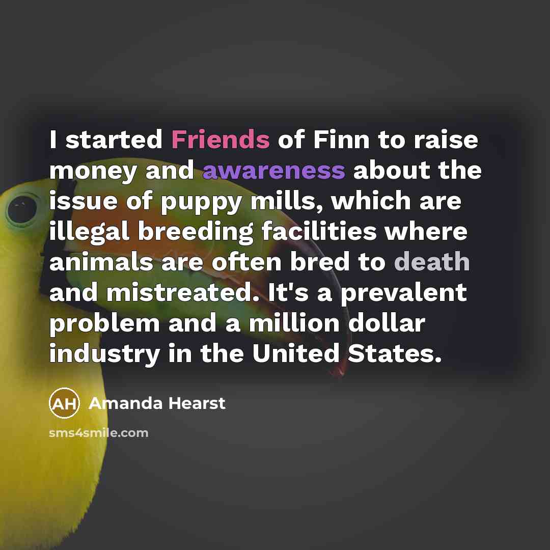 “I started Friends of Finn to raise money and awareness…” quote by Amanda Hearst