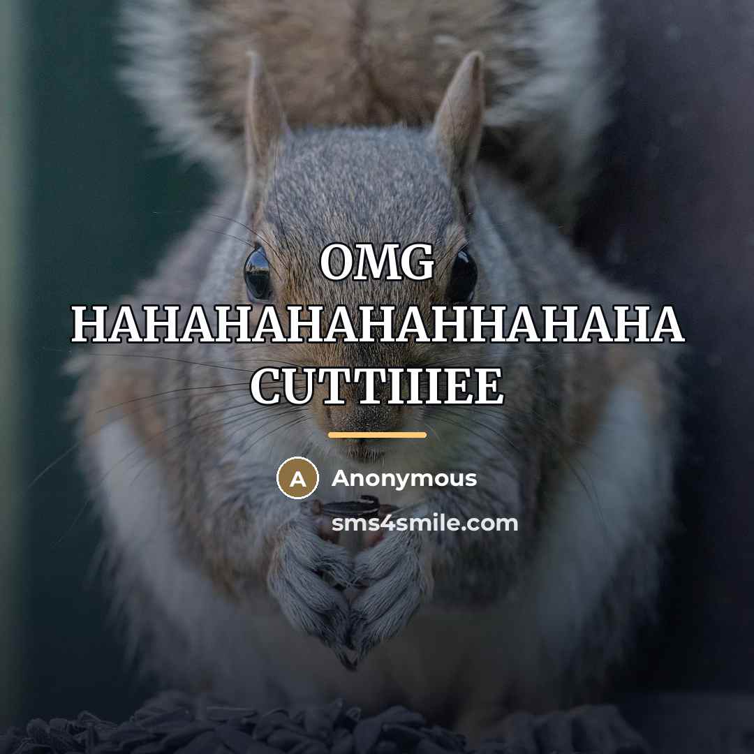 “OMG HAHAHAHAHAHHAHAHA CUTTIIIEE…” quote by Anonymous