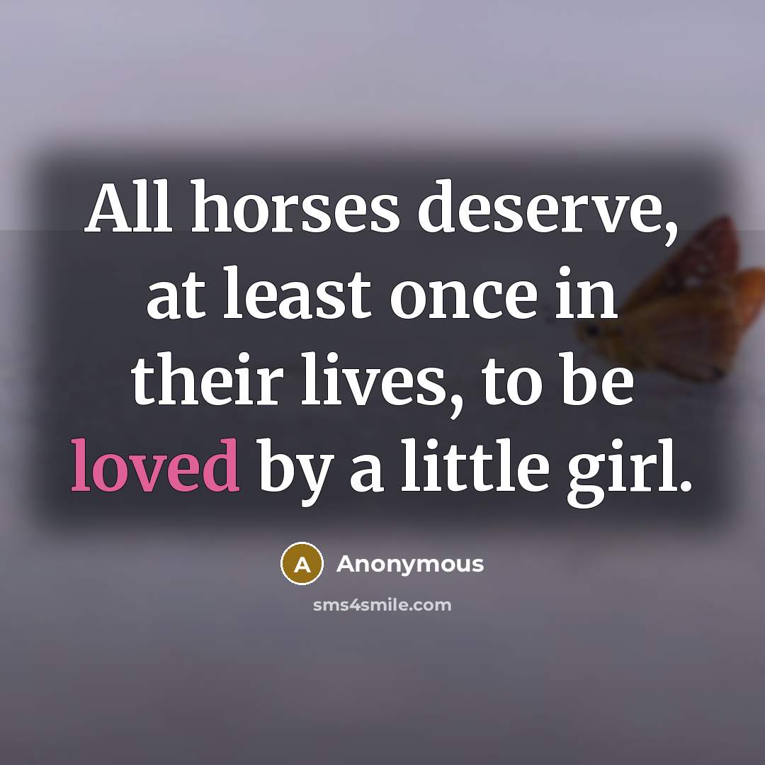 “All horses deserve, at least once in their lives, to…” quote by Anonymous