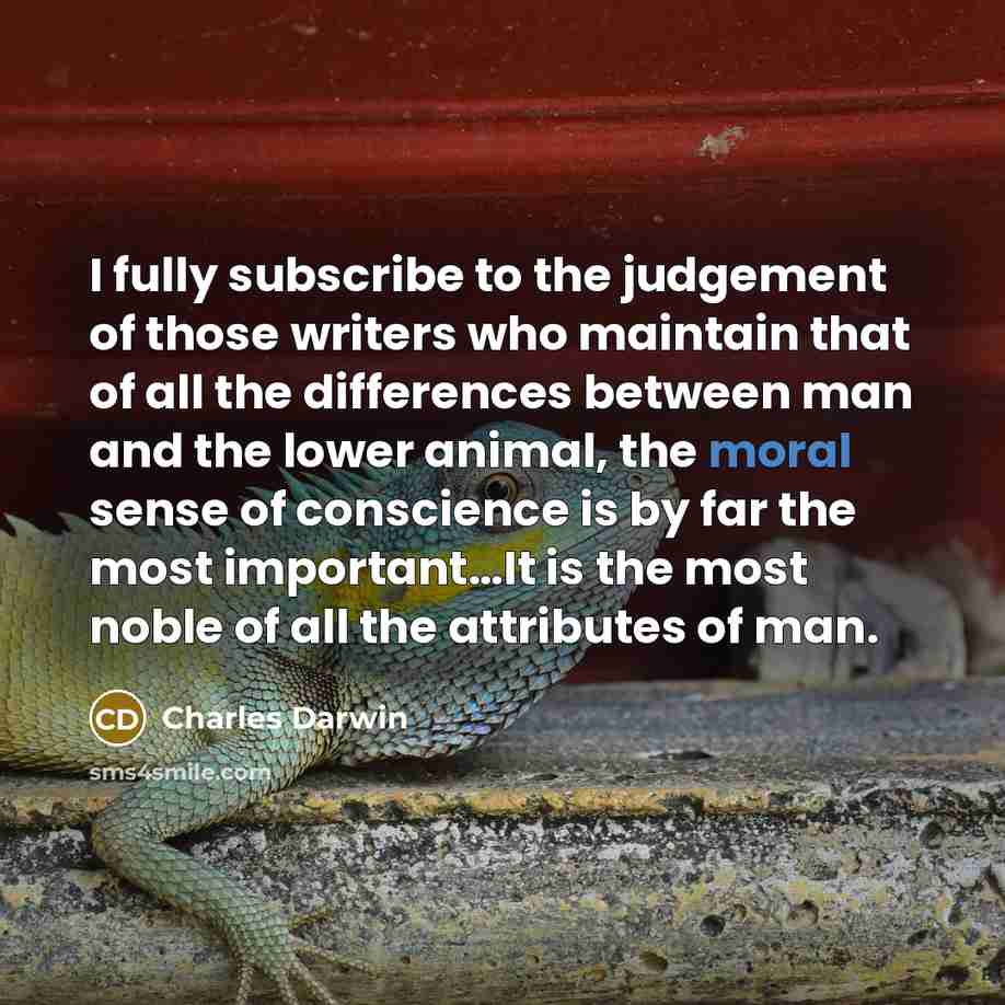 “I fully subscribe to the judgement of those writers who…” quote by Charles Darwin