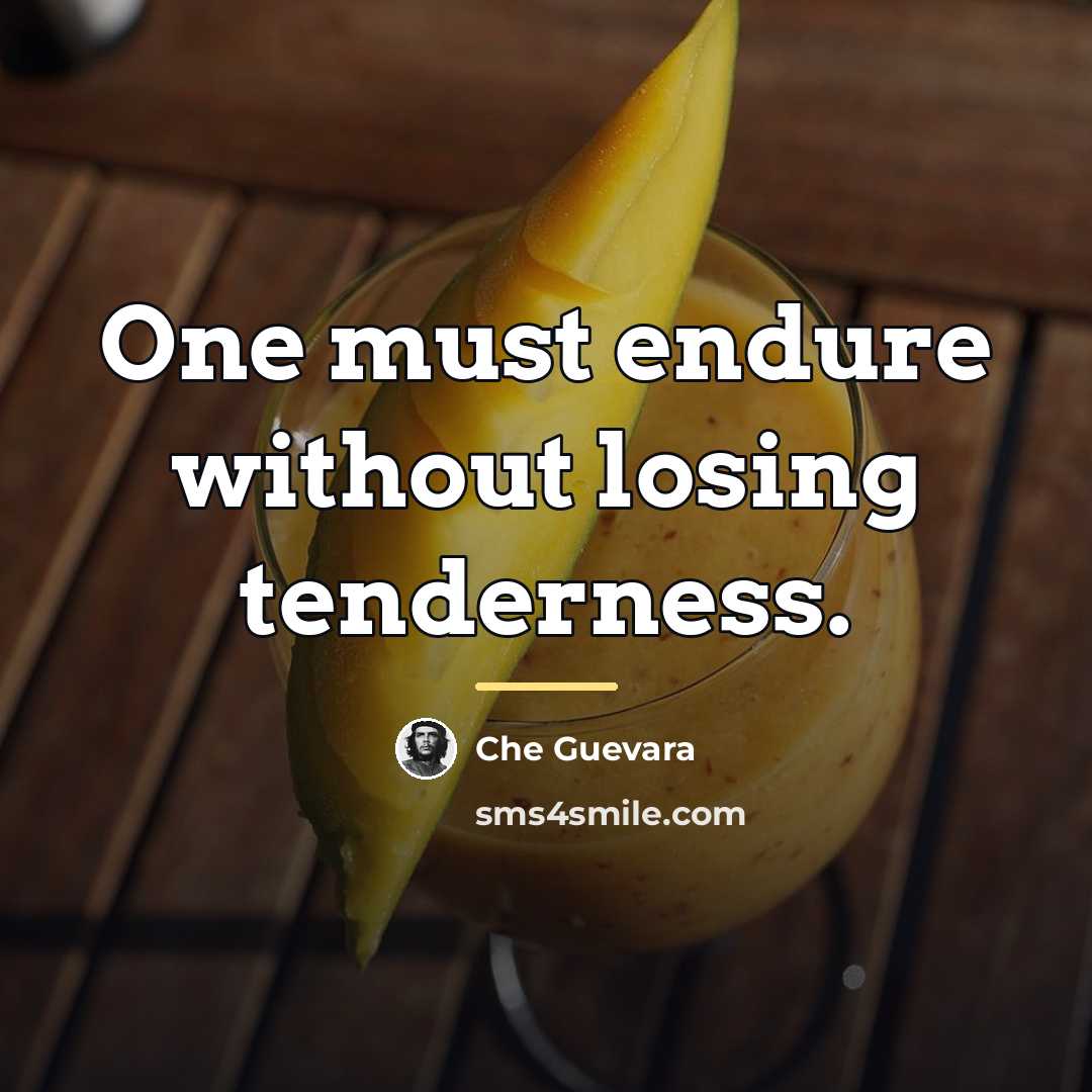 “One must endure without losing tenderness.…” quote by Che Guevara