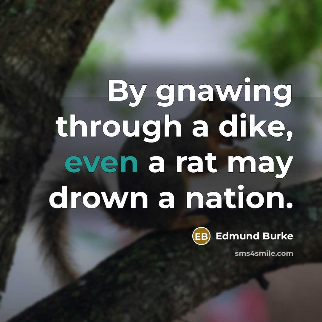 “By gnawing through a dike, even a rat may drown a nation.” quote by Edmund Burke