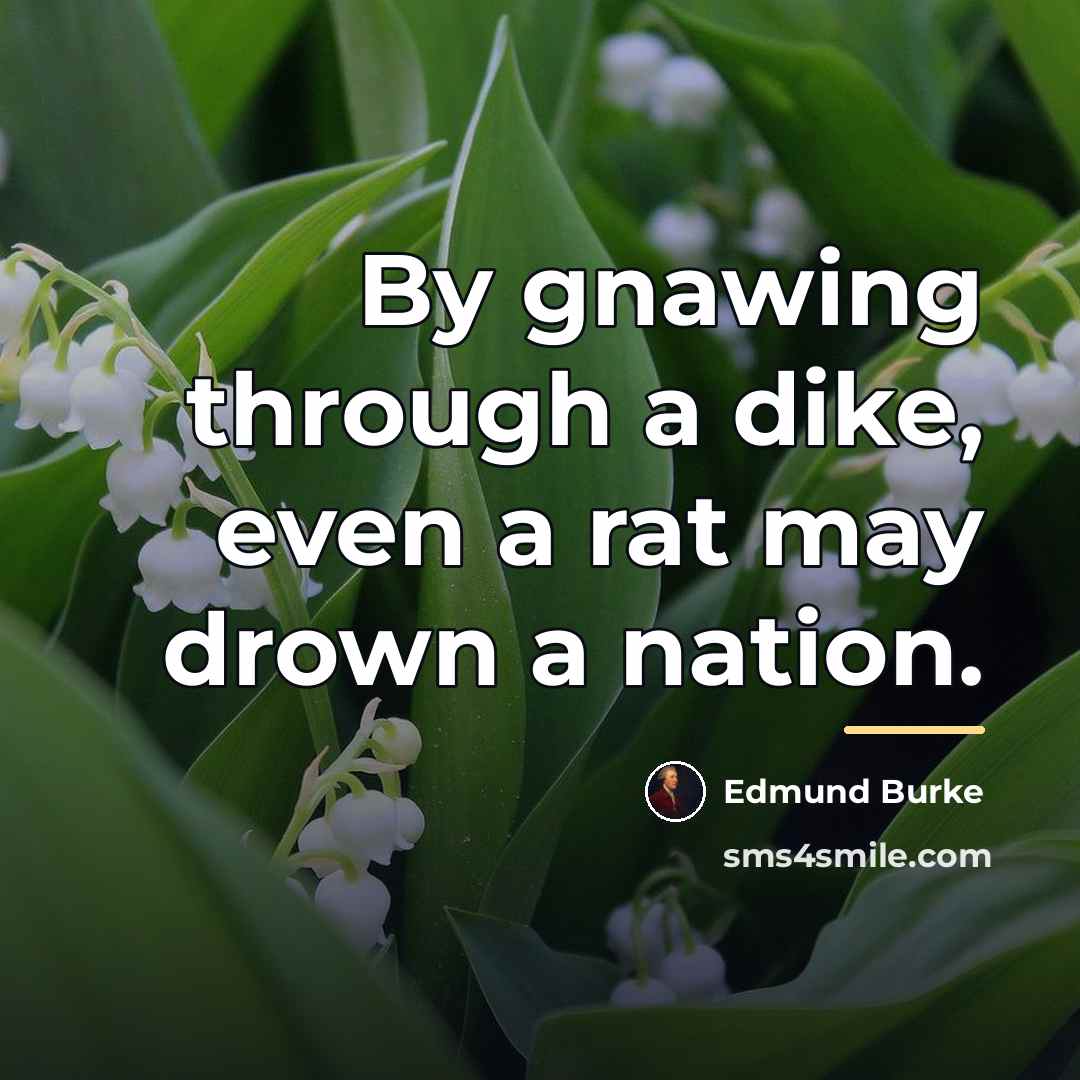 “By gnawing through a dike, even a rat may drown…” quote by Edmund Burke