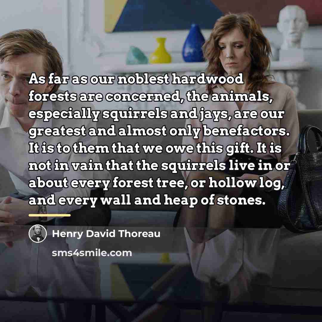 “As far as our noblest hardwood forests are concerned, the…” quote by Henry David Thoreau