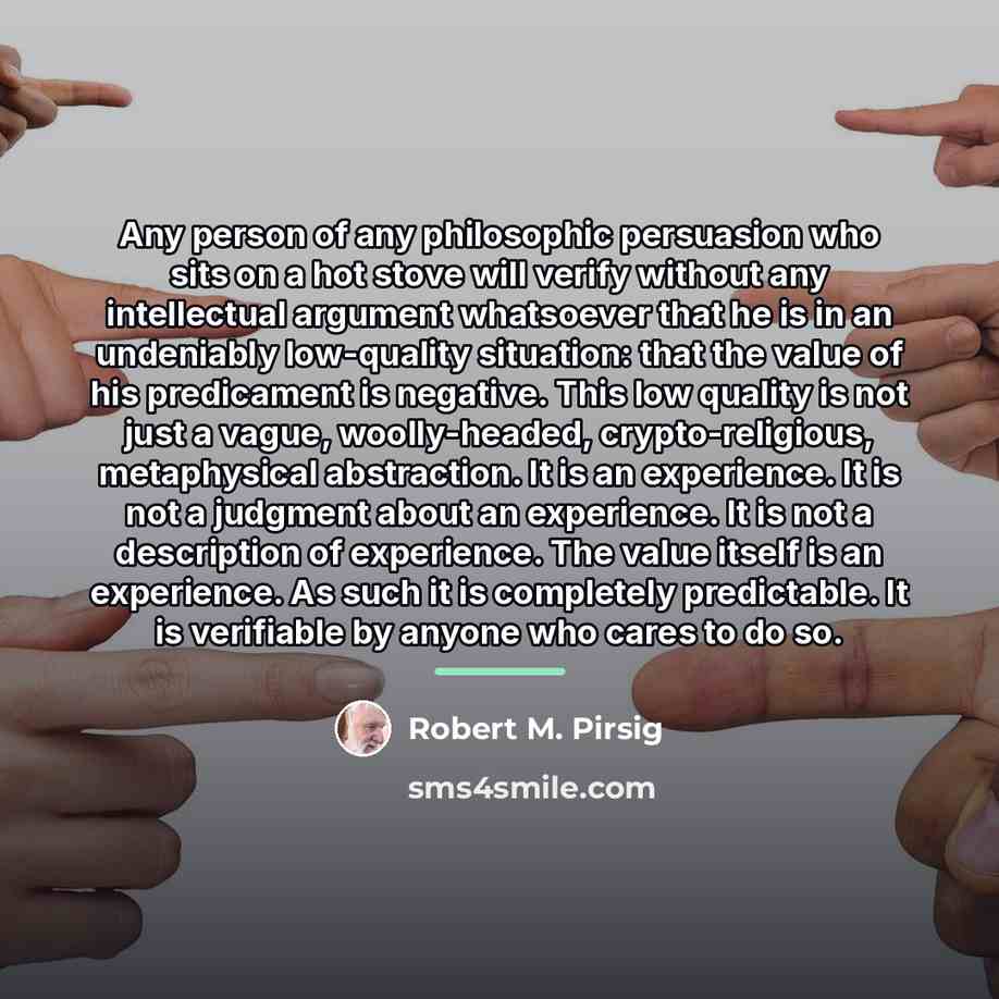 “Any person of any philosophic persuasion who sits on a…” quote by Robert M. Pirsig