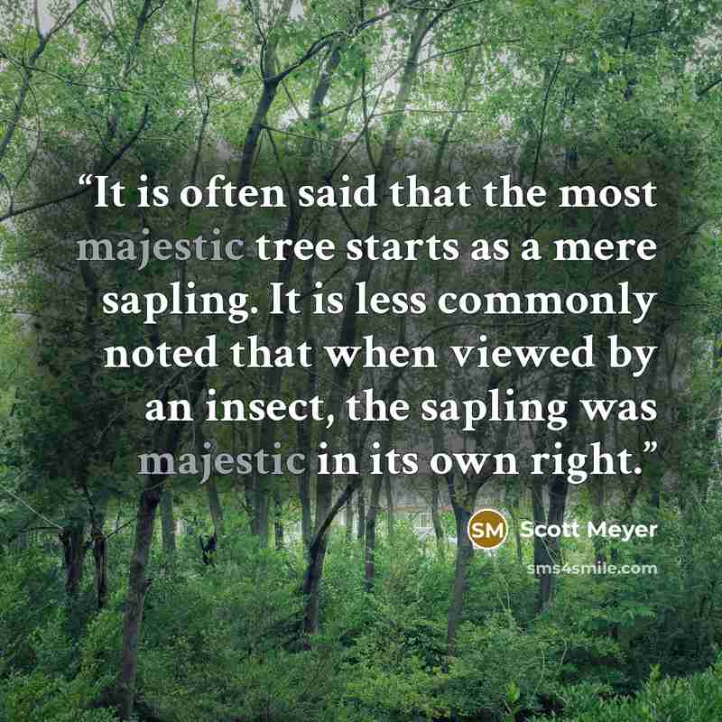 “It is often said that the most majestic tree starts as a mere sapling. It is less commonly noted that when viewed by an insect, the sapling was majestic in its own right.” quote by Scott Meyer