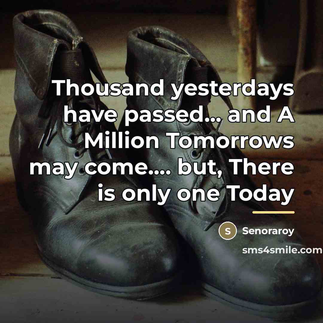 “Thousand yesterdays have passed... and A Million Tomorrows may come....…” quote by Senoraroy