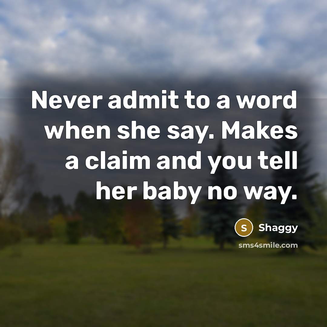 “Never admit to a word when she say. Makes a claim and you tell her baby no way.” quote by Shaggy