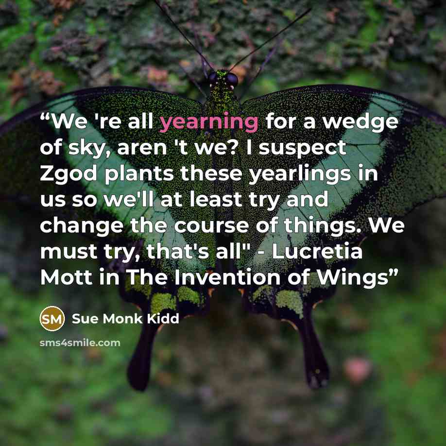 “We 're all yearning for a wedge of sky, aren 't we? I suspect Zgod plants these yearlings in us so we'll at least try and change the course of things. We must try, that's all" - Lucretia Mott in The Invention of Wings” quote by Sue Monk Kidd