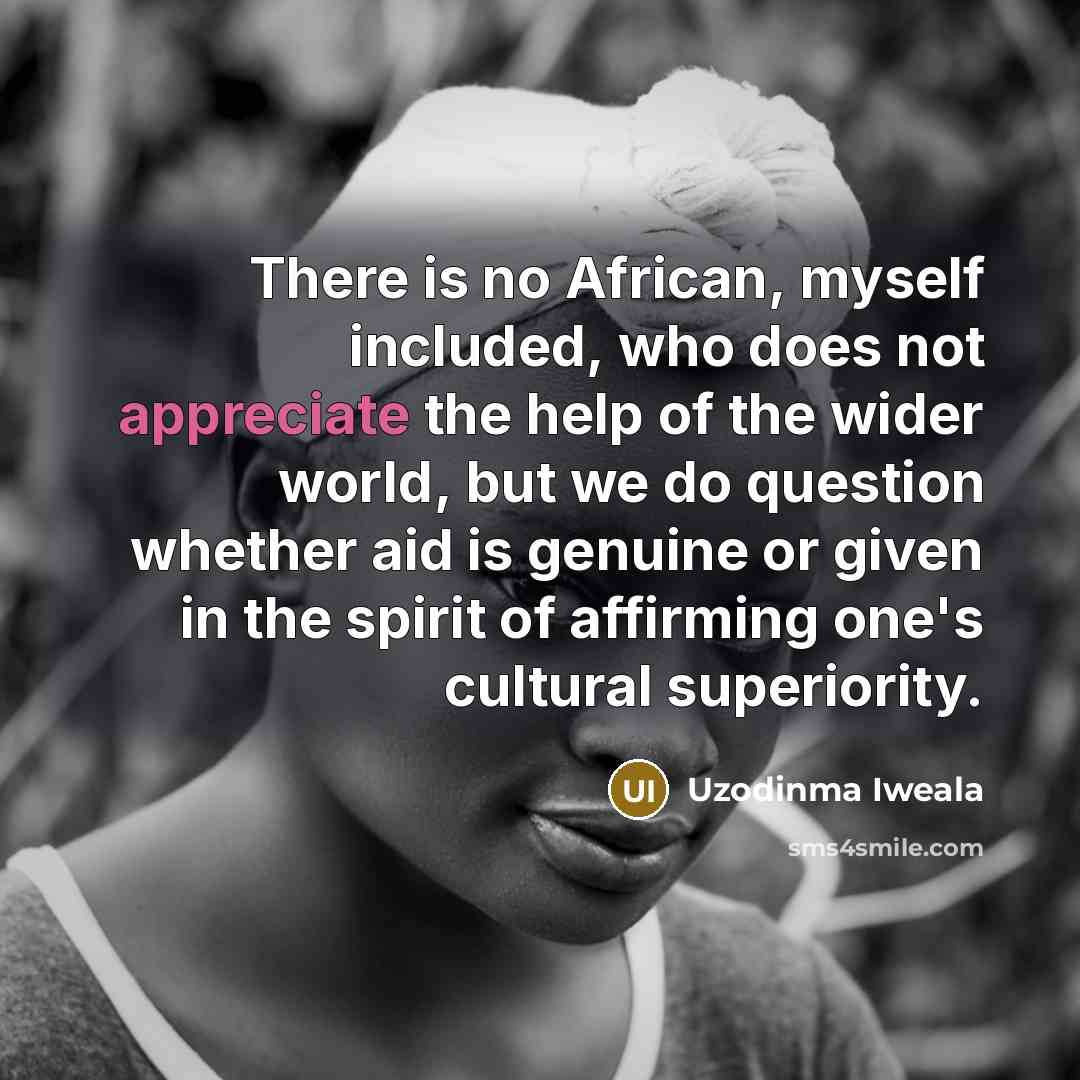 “There is no African, myself included, who does not appreciate…” quote by Uzodinma Iweala