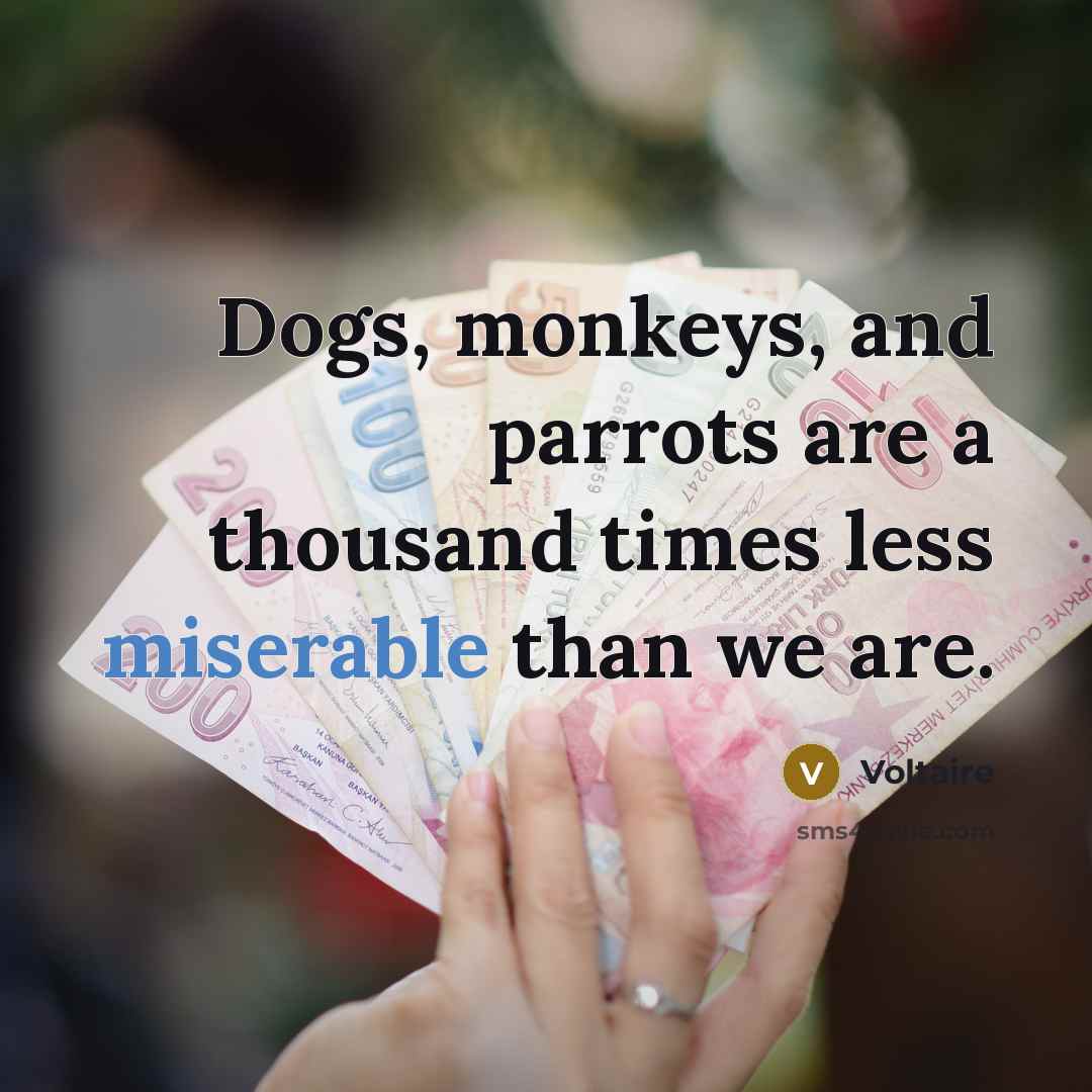 “Dogs, monkeys, and parrots are a thousand times less miserable than we are.” quote by Voltaire