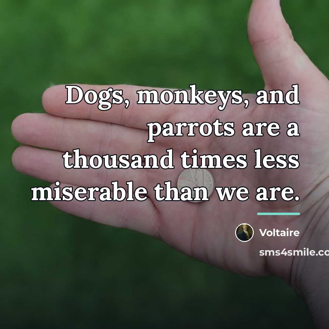 “Dogs, monkeys, and parrots are a thousand times less miserable…” quote by Voltaire