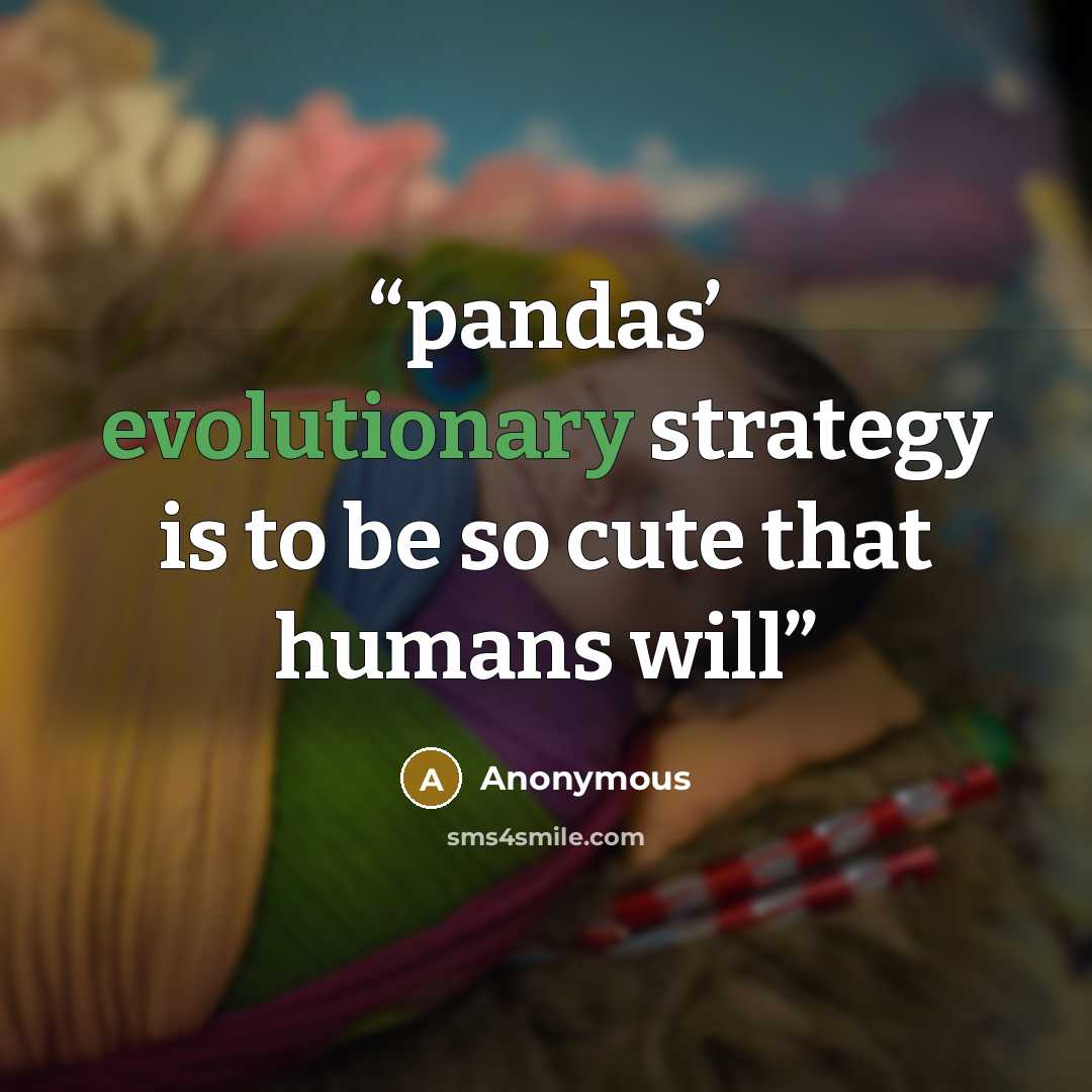 “pandas’ evolutionary strategy is to be so cute that humans will” quote by Anonymous