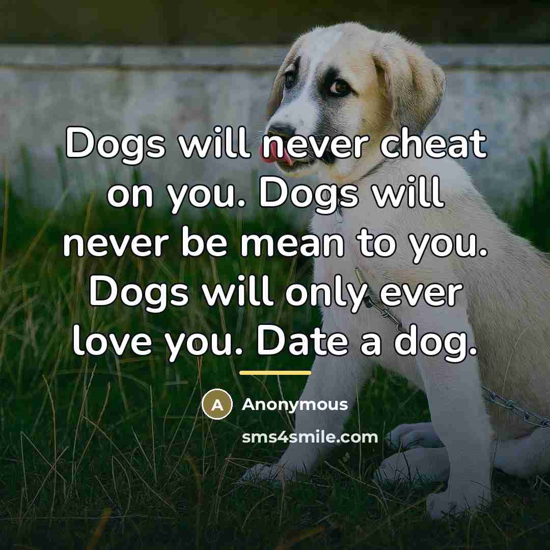 “Dogs will never cheat on you. Dogs will never be…” quote by Anonymous