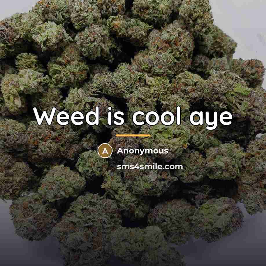 “Weed is cool aye…” quote by Anonymous