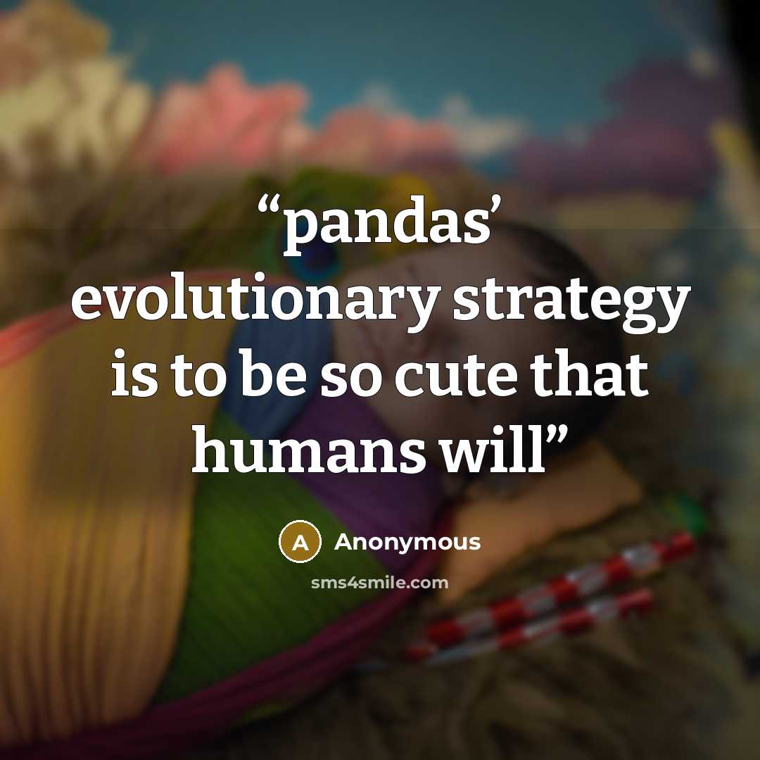 “pandas’ evolutionary strategy is to be so cute that humans will” quote by Anonymous