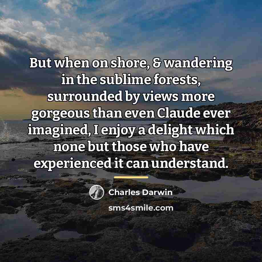 “But when on shore, & wandering in the sublime forests,…” quote by Charles Darwin