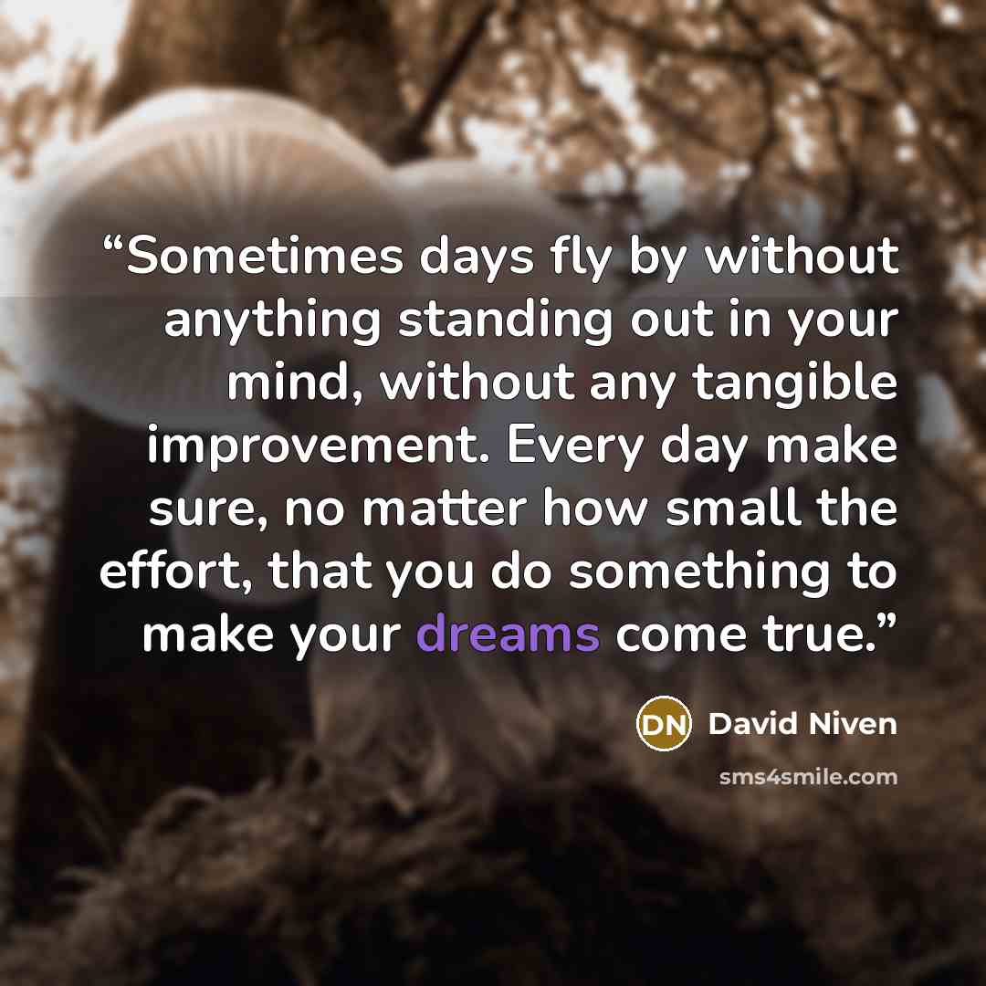 “Sometimes days fly by without anything standing out in your mind, without any tangible improvement. Every day make sure, no matter how small the effort, that you do something to make your dreams come true.” quote by David Niven