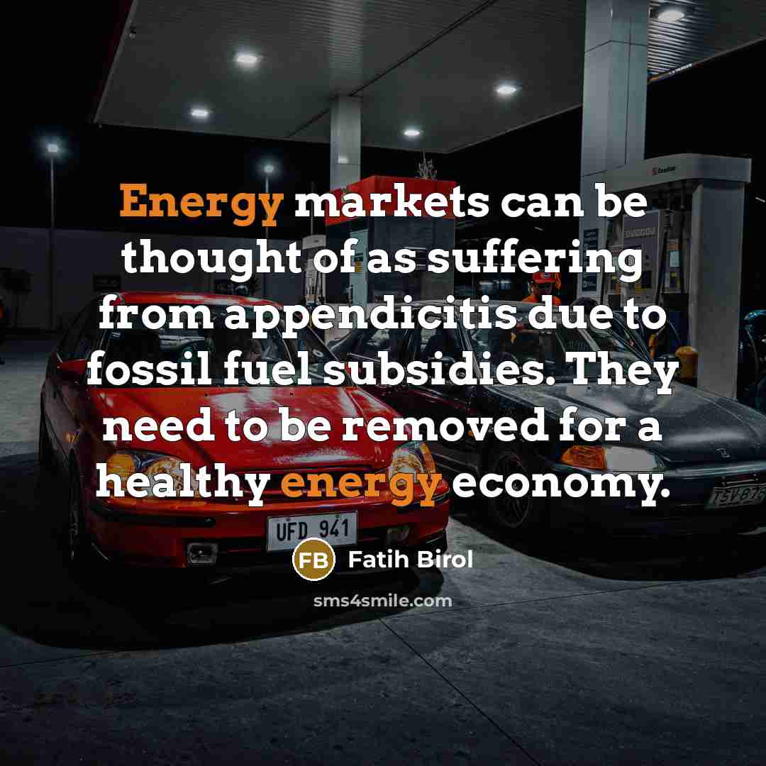 “Energy markets can be thought of as suffering from appendicitis…” quote by Fatih Birol