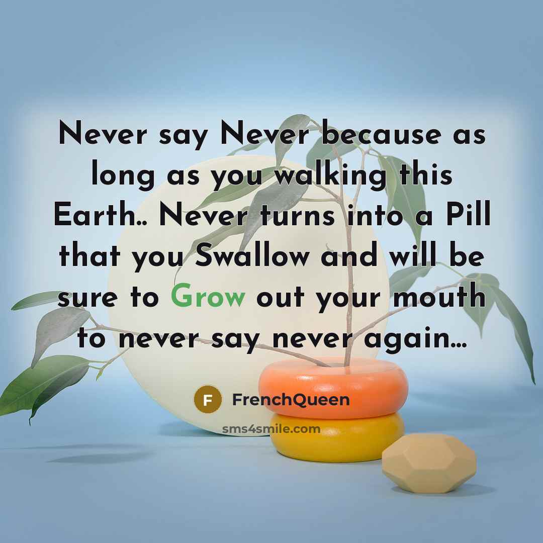 “Never say Never because as long as you walking this…” quote by Frenchqueen