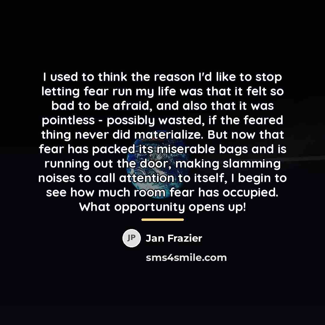 “I used to think the reason I'd like to stop…” quote by Jan Frazier