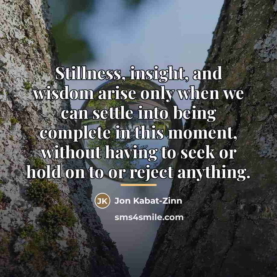 “Stillness, insight, and wisdom arise only when we can settle…” quote by Jon Kabat-Zinn